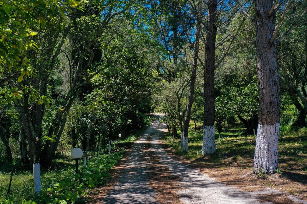 Postatiko Holiday Home Central Corfu Kynopiástai エクステリア 写真